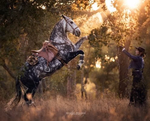 Fotoevent Portugal Steigendes Pferd und portugiesisches Kostüm