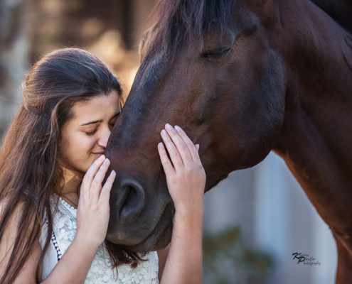 Fotoevent Portugal Kuscheln mit Lusitano Hengst