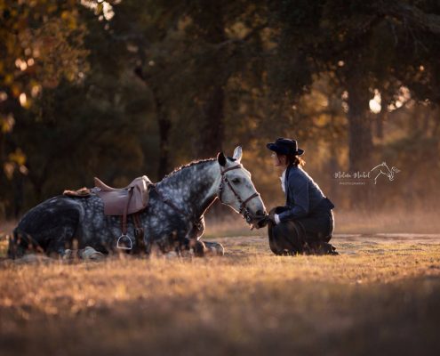 Fotoevent Portugal Lusitano liegend Quinta da Varzea Duque und Fabienne