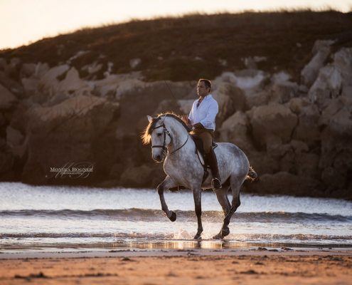 Fotoevent Portugal Piaffe am Meer Sonnenuntergang
