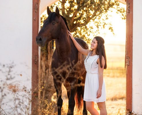 Fotoevent Portugal Pferd in Tür im Sonnenaufgang