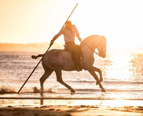 Fotoevent Portugal Garocha am Meer im Sonnenuntergang