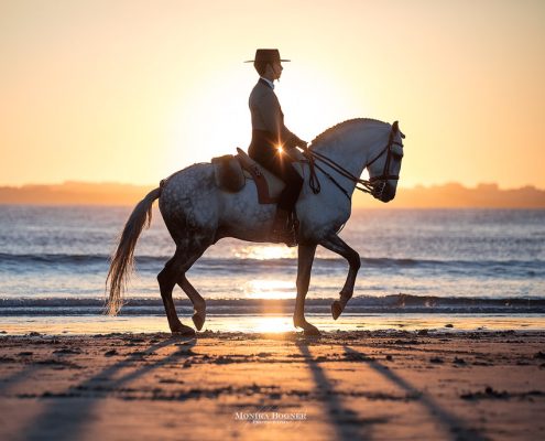 Fotoevent Portugal Piaffe am Meer im Sonnenuntergang