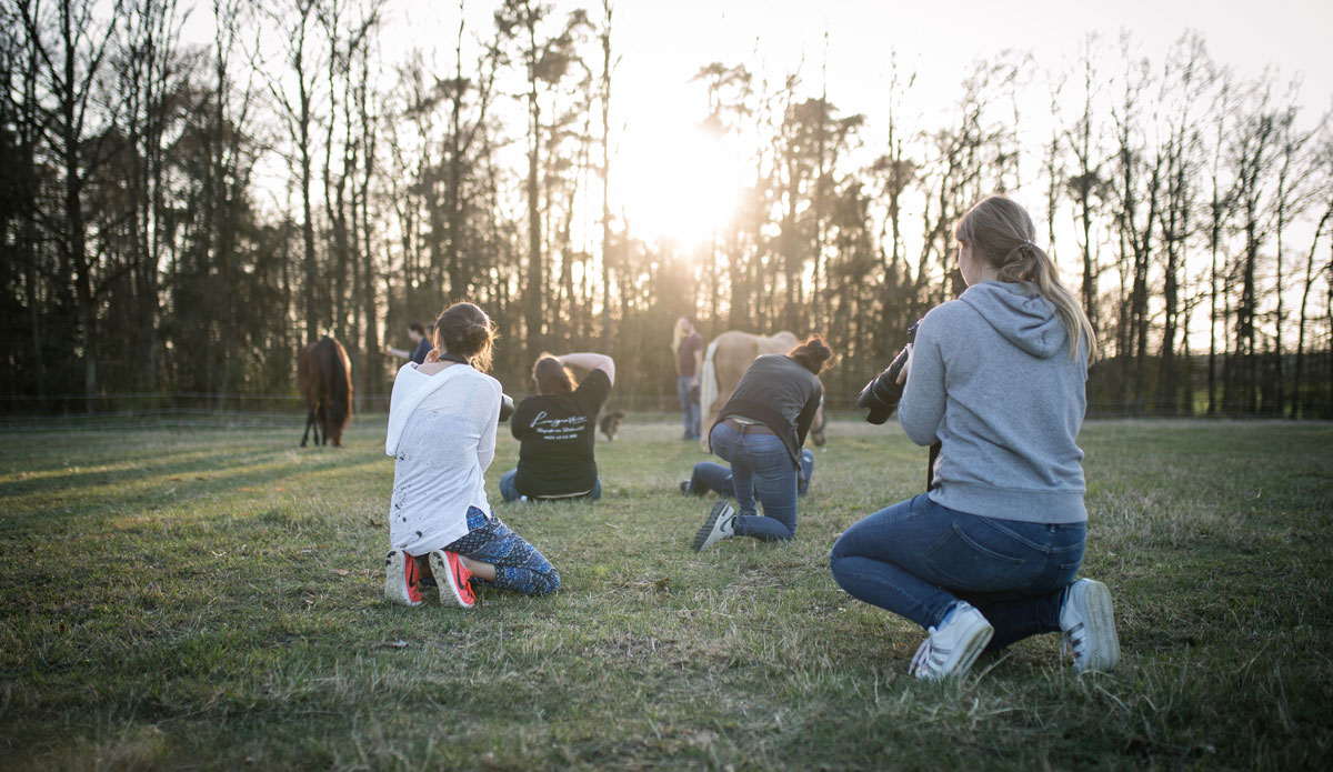 Tierfotografentreffen Würzburg