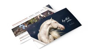 Gutschein Pferdefotografie und Coachings Bayern, Sitz Würzburg - Alisa Konrad