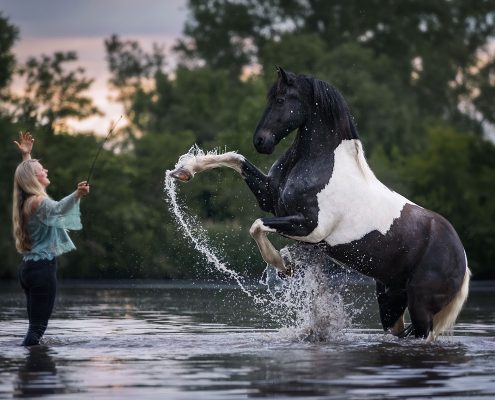 Pferdefotografie Coaching, Deutschland, Bayern, Würzburg, Fototräume wahr werden lassen, Fotografieren lernen