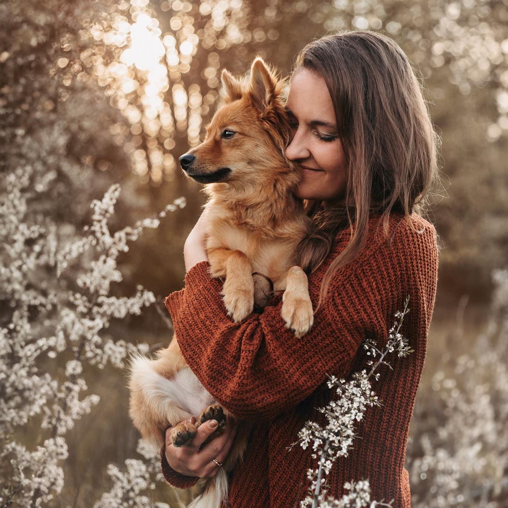 Alisa Konrad Pferdefotografie Bayern, Fotografenbegleithund Loki, Würzburg, Tauberbbischofsheim, Kist