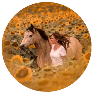 Freiheitsdressur-web